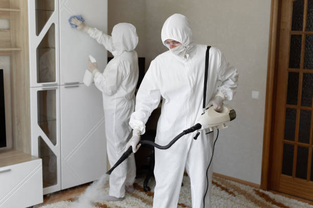 Best Post-Flood Mold Remediation in St Augustine Beach, FL